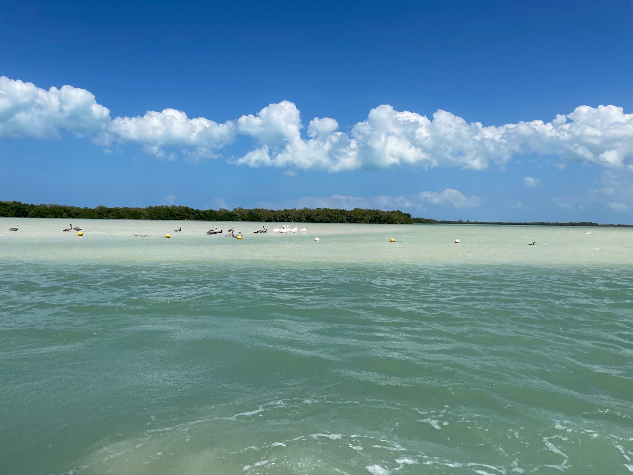 30EC078A-6850-4AA3-A12E-49EAAB78C166.jpeg