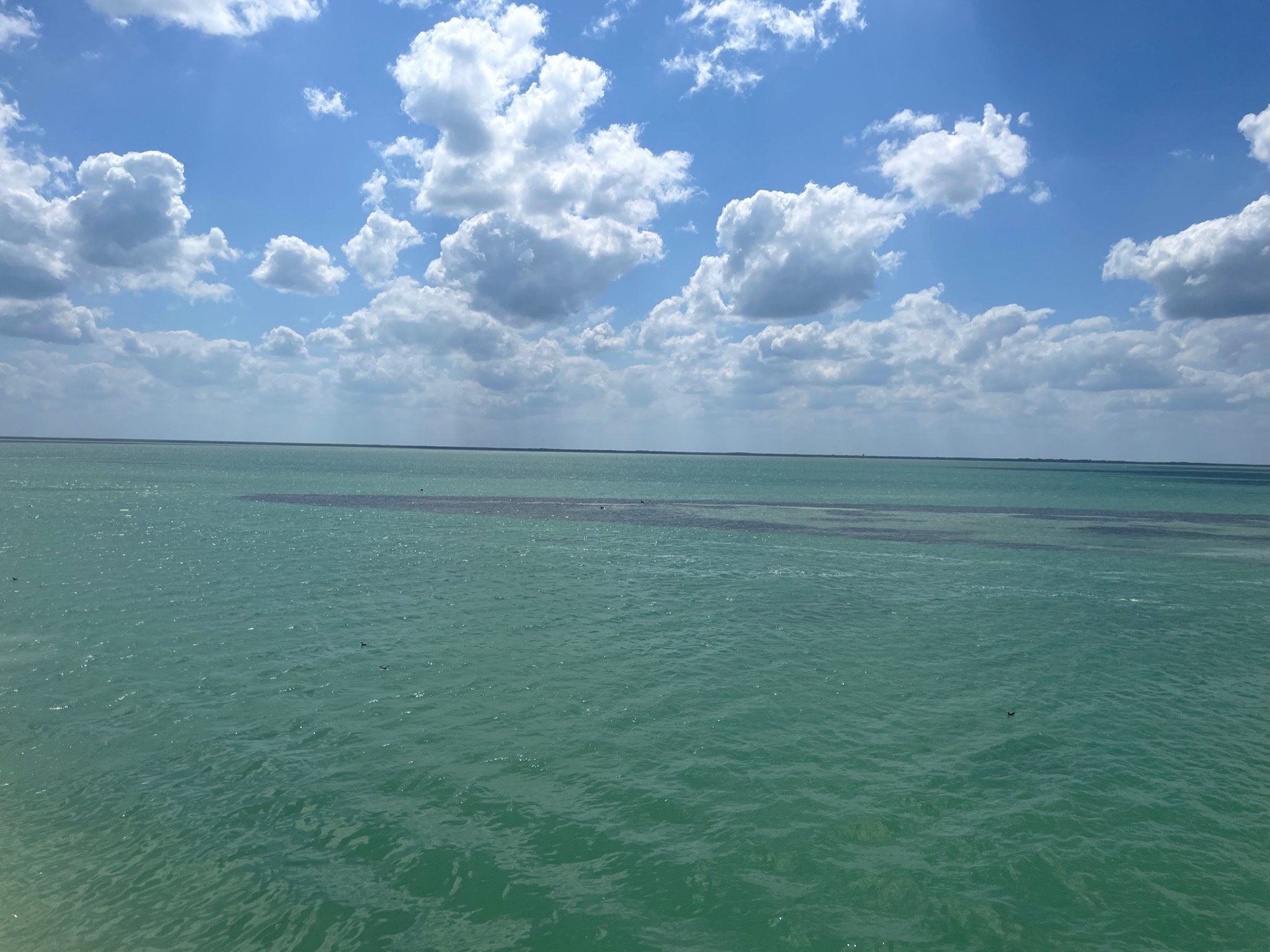 FF735894-1D66-4B74-878E-01079EB756C8.jpeg