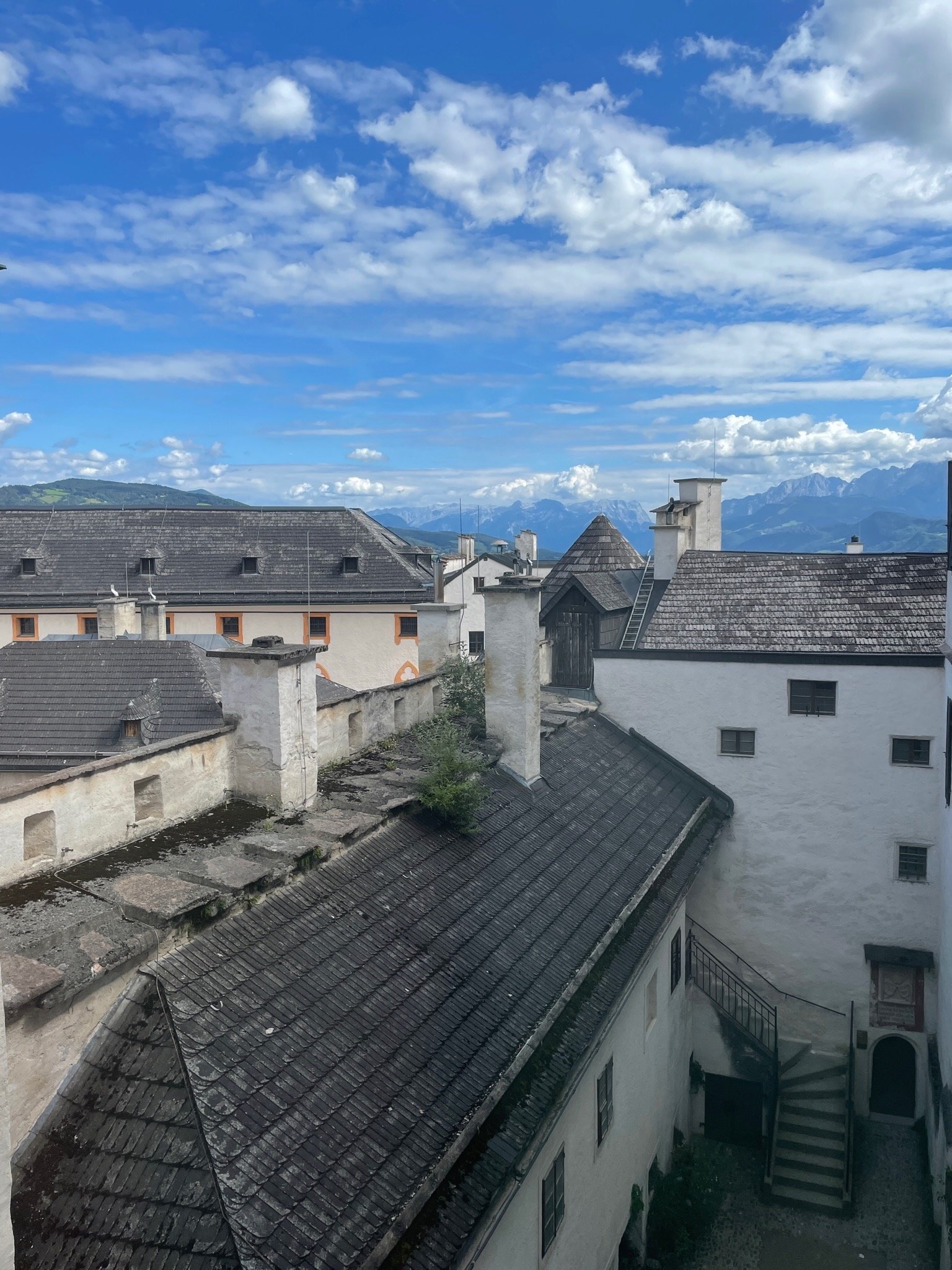 IMG_1183.jpeg