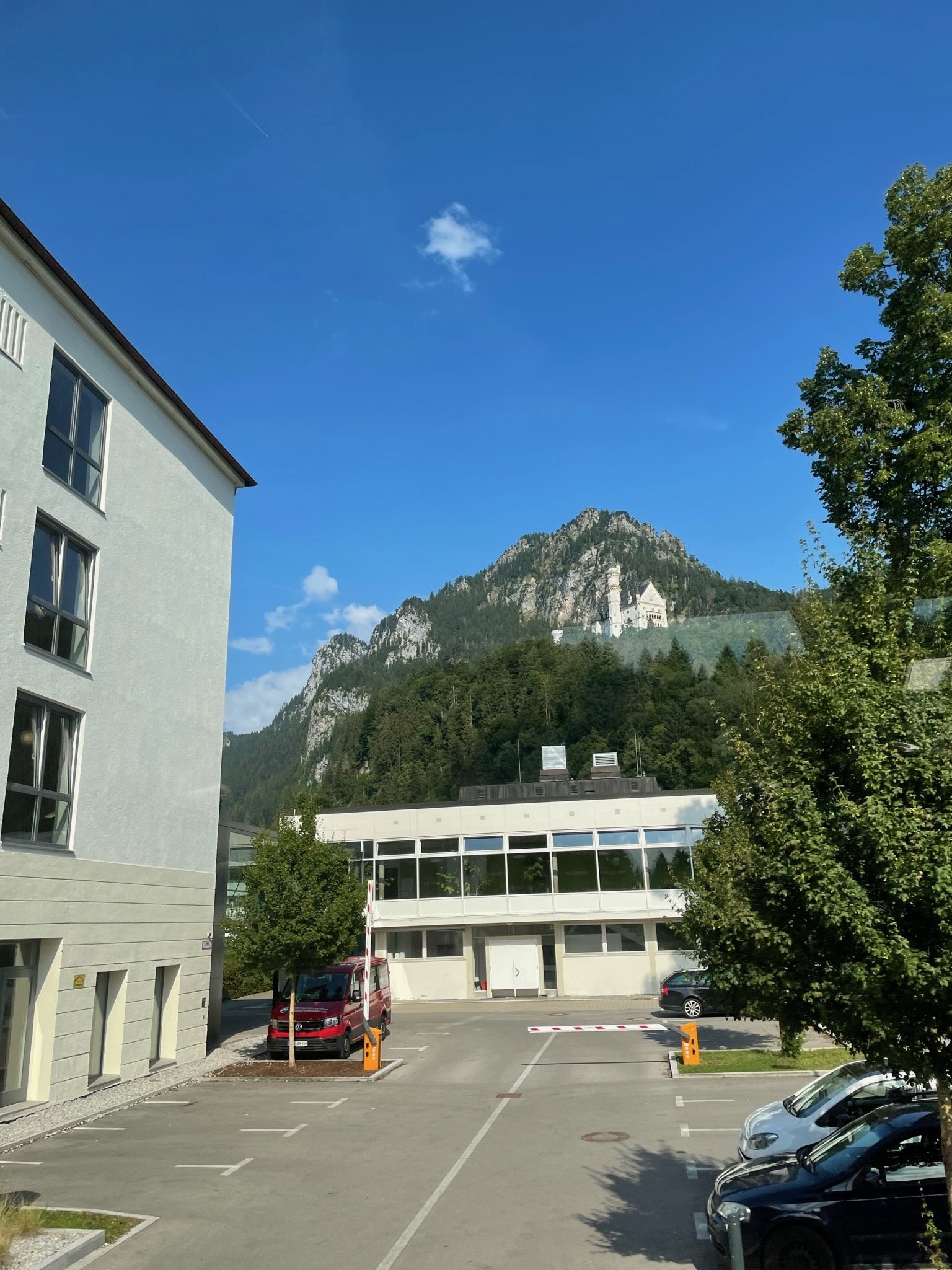 IMG_0972 (1).jpeg