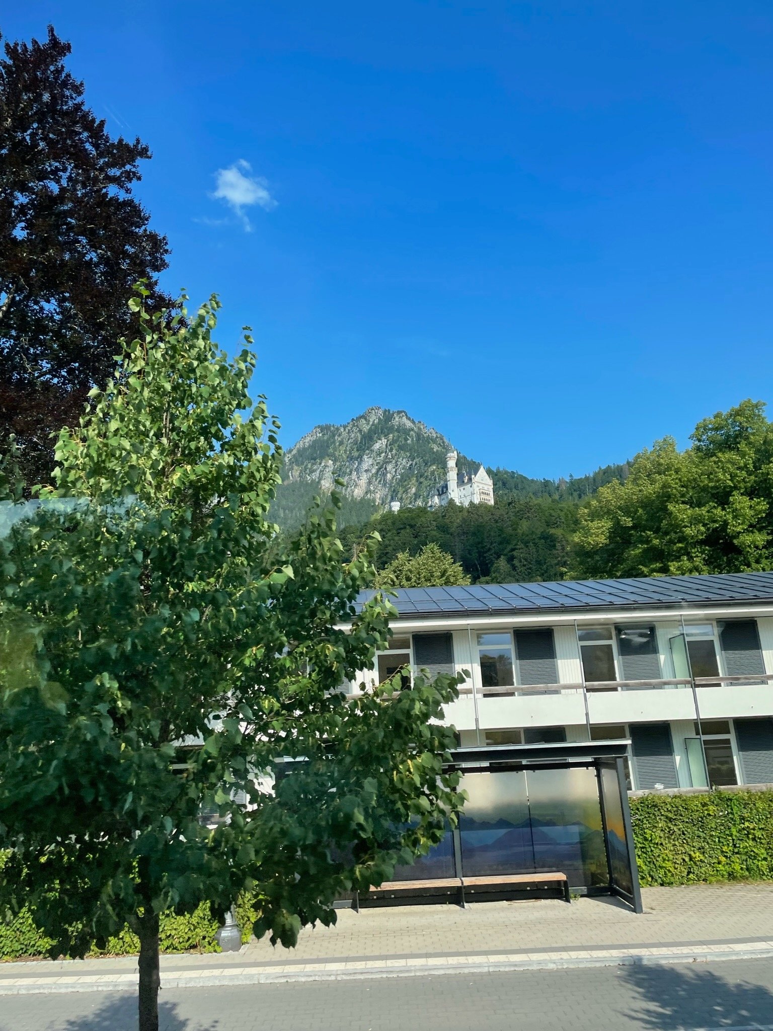 IMG_0973 (1).jpeg