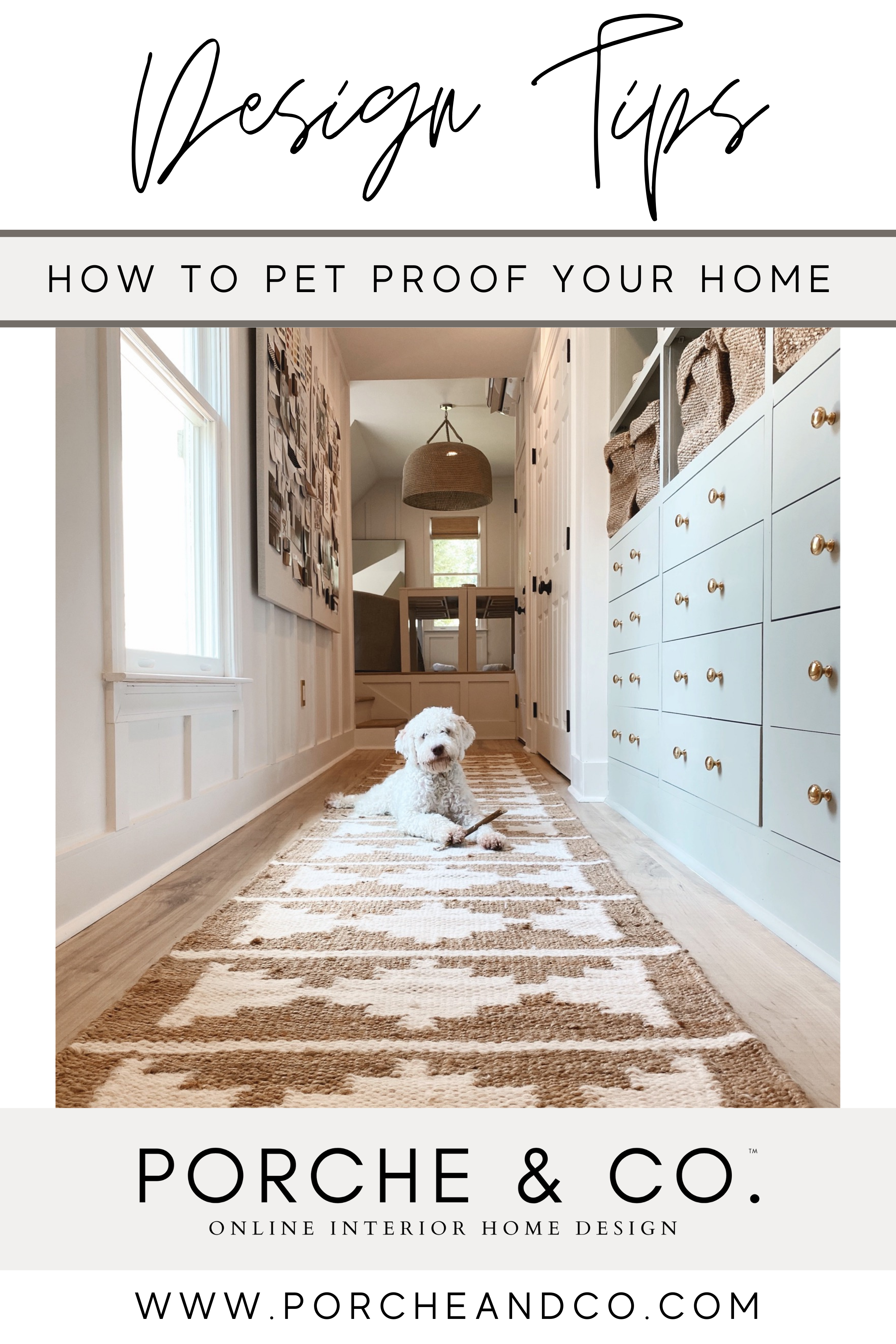 How to Pet-Proof Your Home