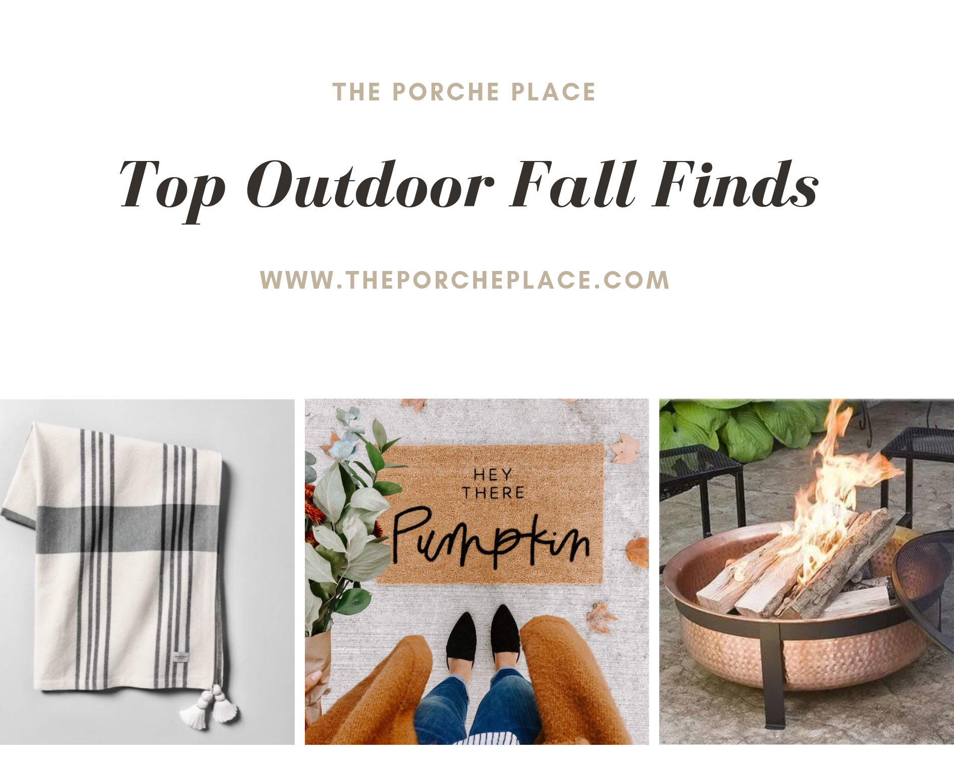Fall Finds.png