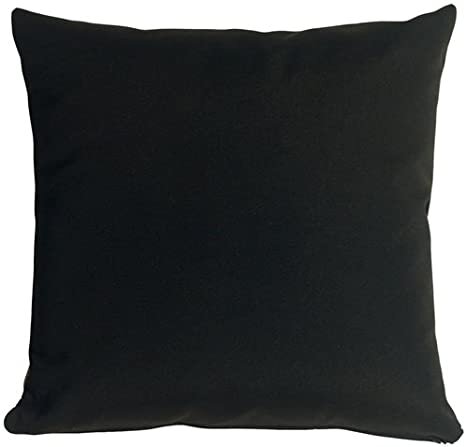 Sunbrella Canvas Black Pillow