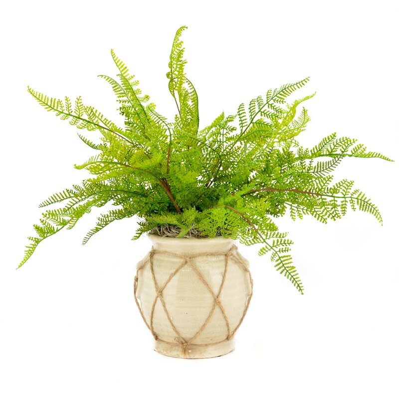 Faux Fern in Twine-Wrapped Vase
