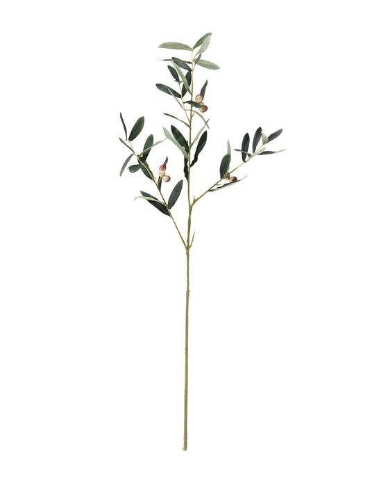 Tuscan Stem