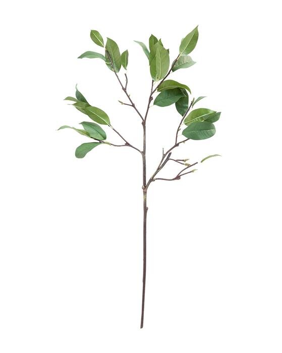 Faux Laurel Leaf Stem