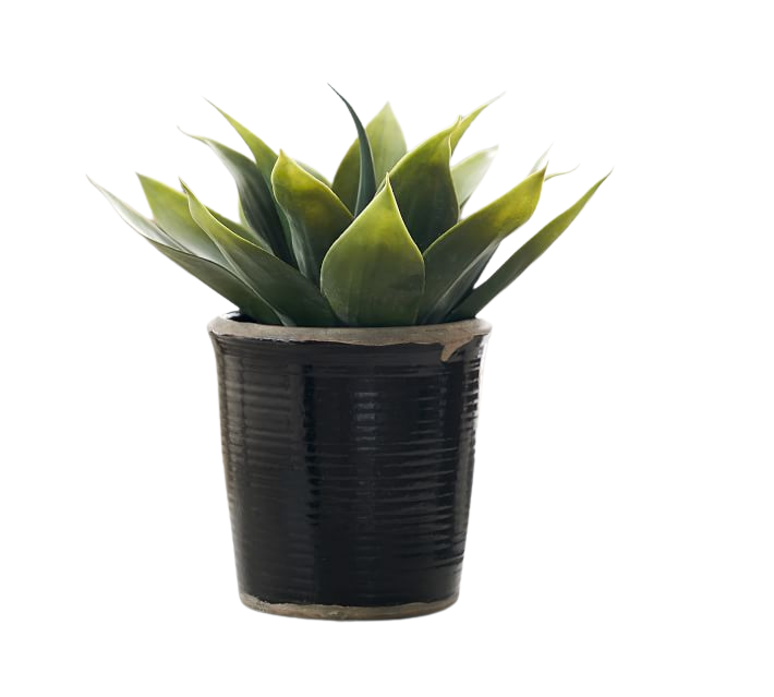 Faux Potted Aloe Vera Plant