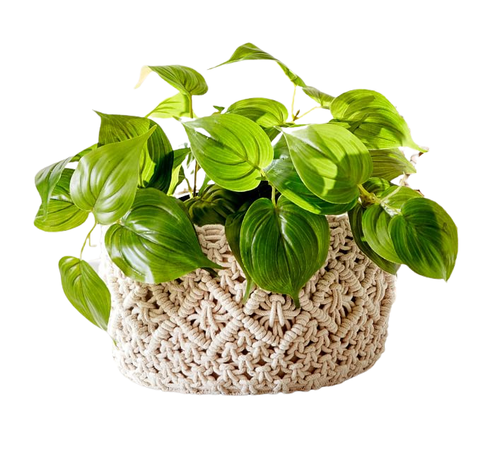 Faux Potted Pothos Houseplant