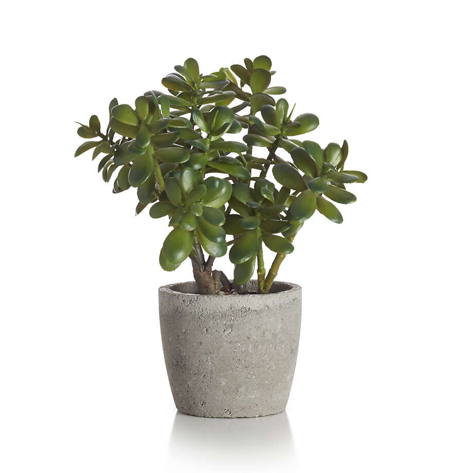 Artificial Potted Jade Plant