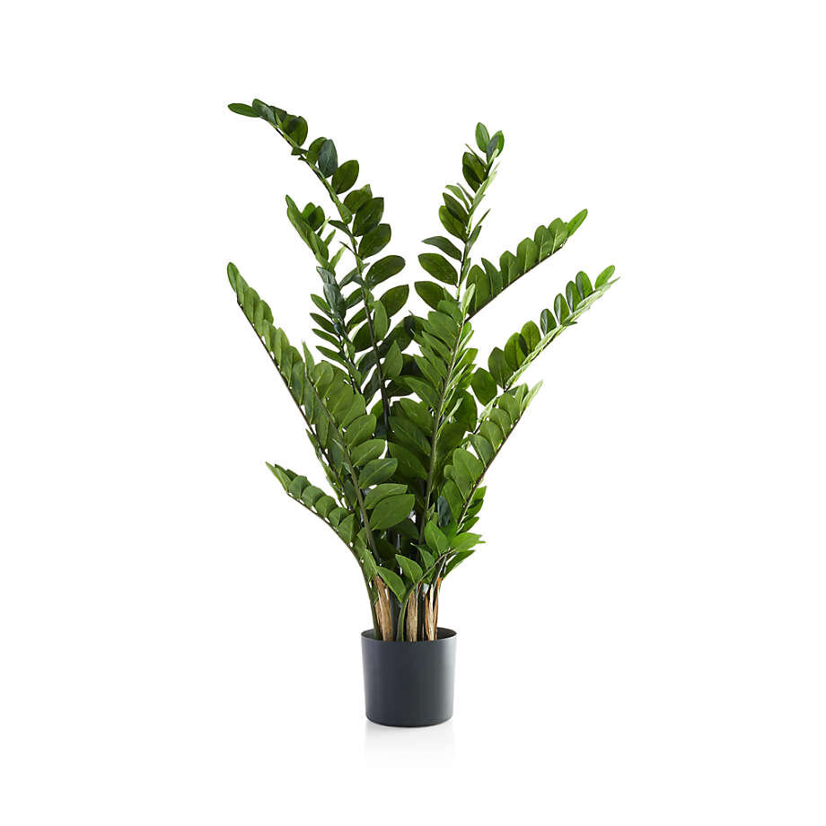 Artificial Potted ZZ Plant