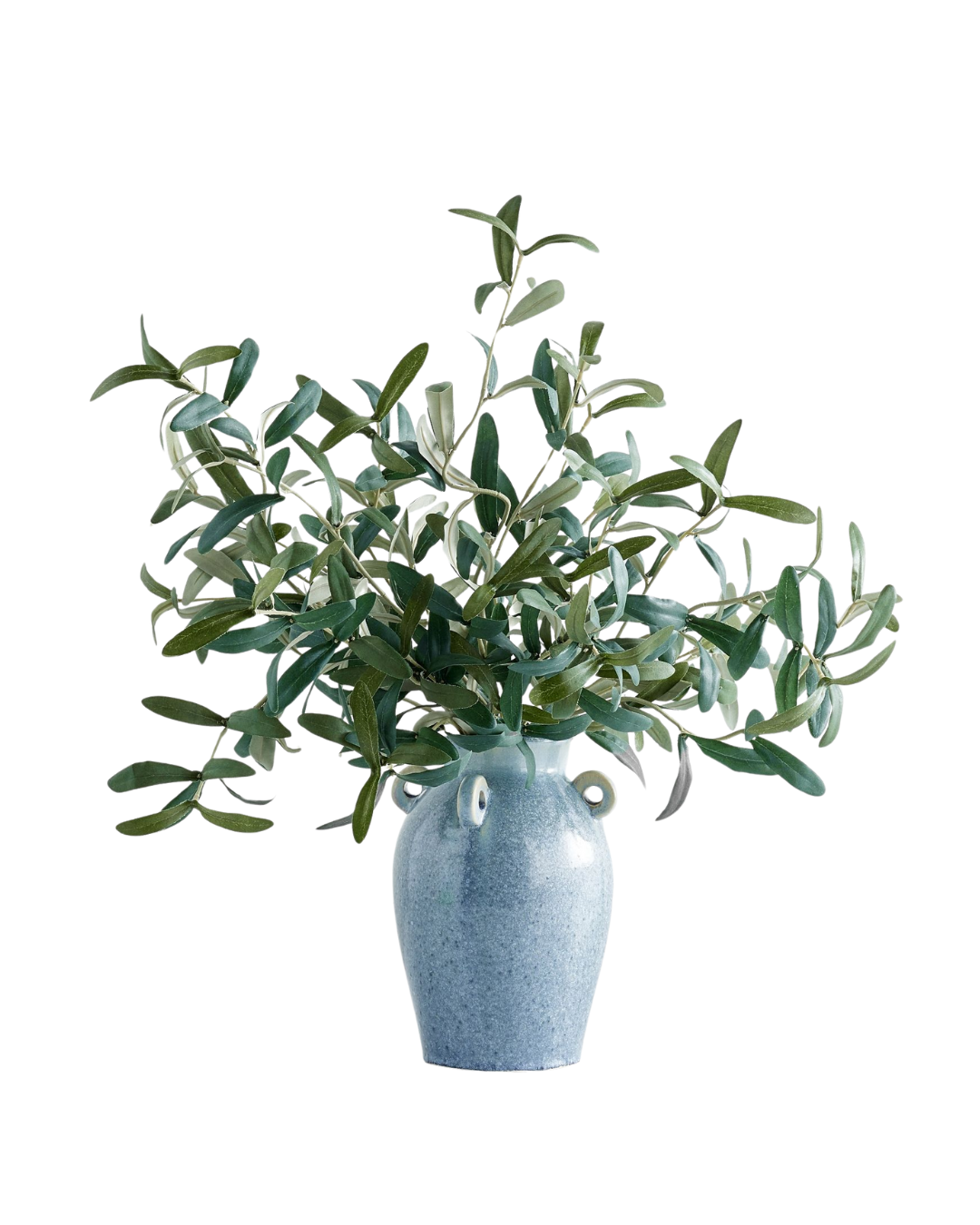 olive-branch-stems.png