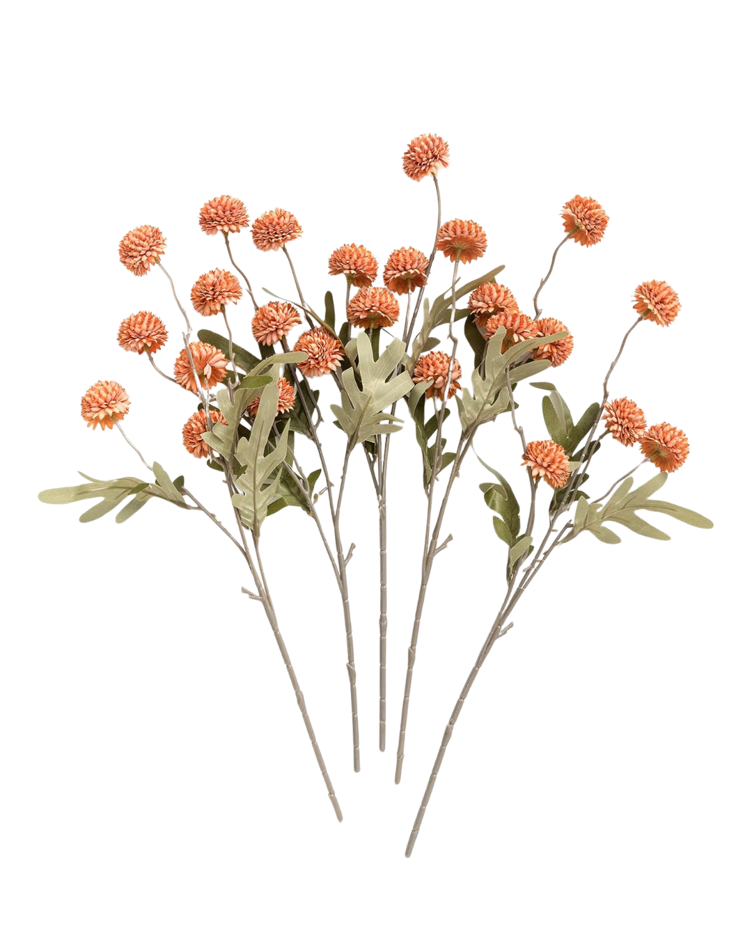 orange-stems.png
