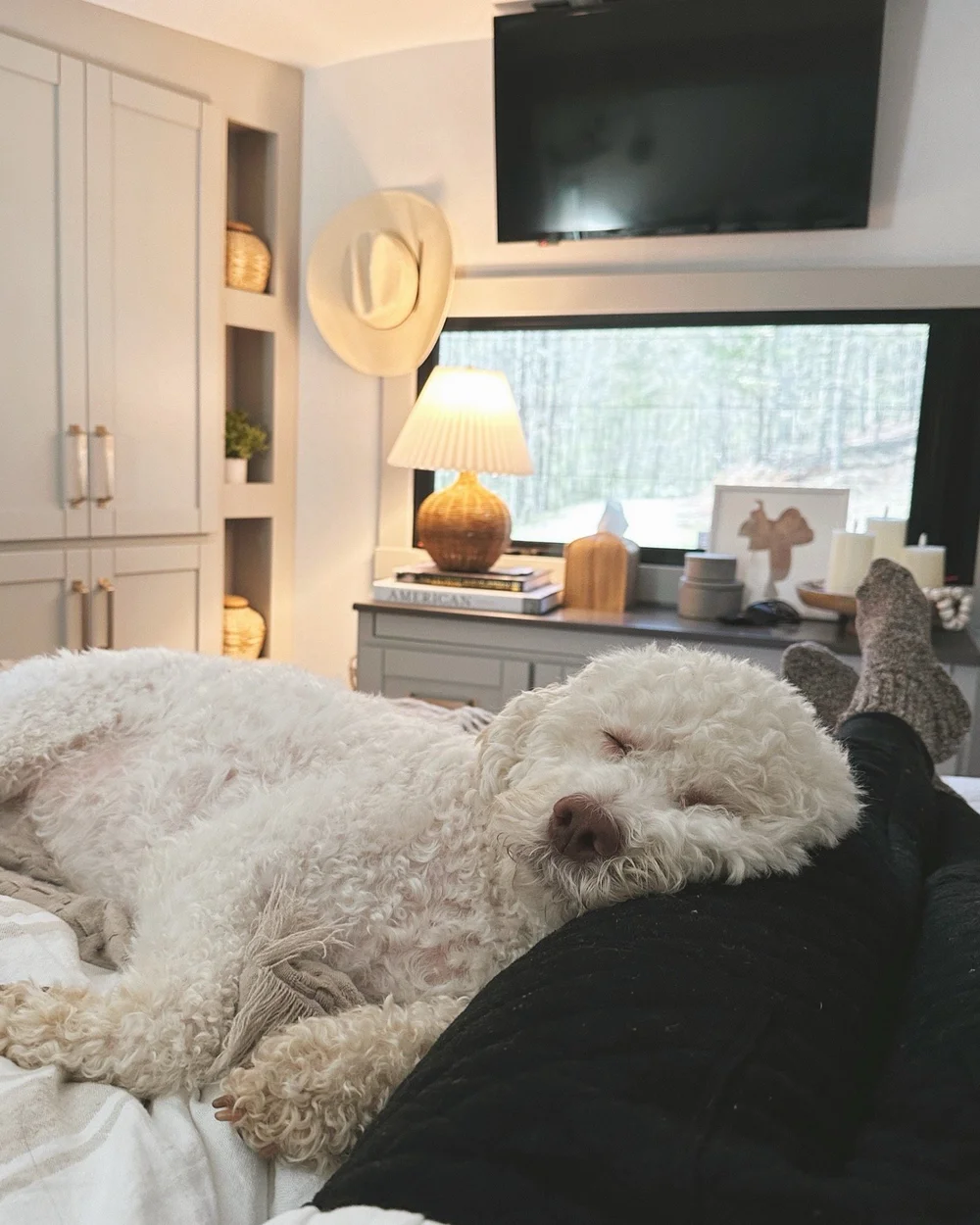 Wayfair Best Seller’s in Emily’s RV — Porche & Co.