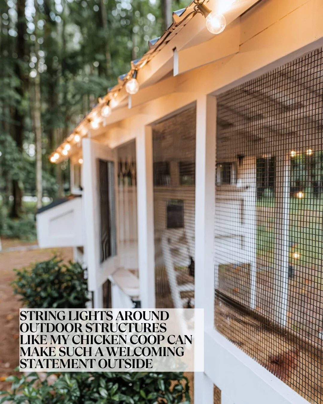 white chicken coop with string lights