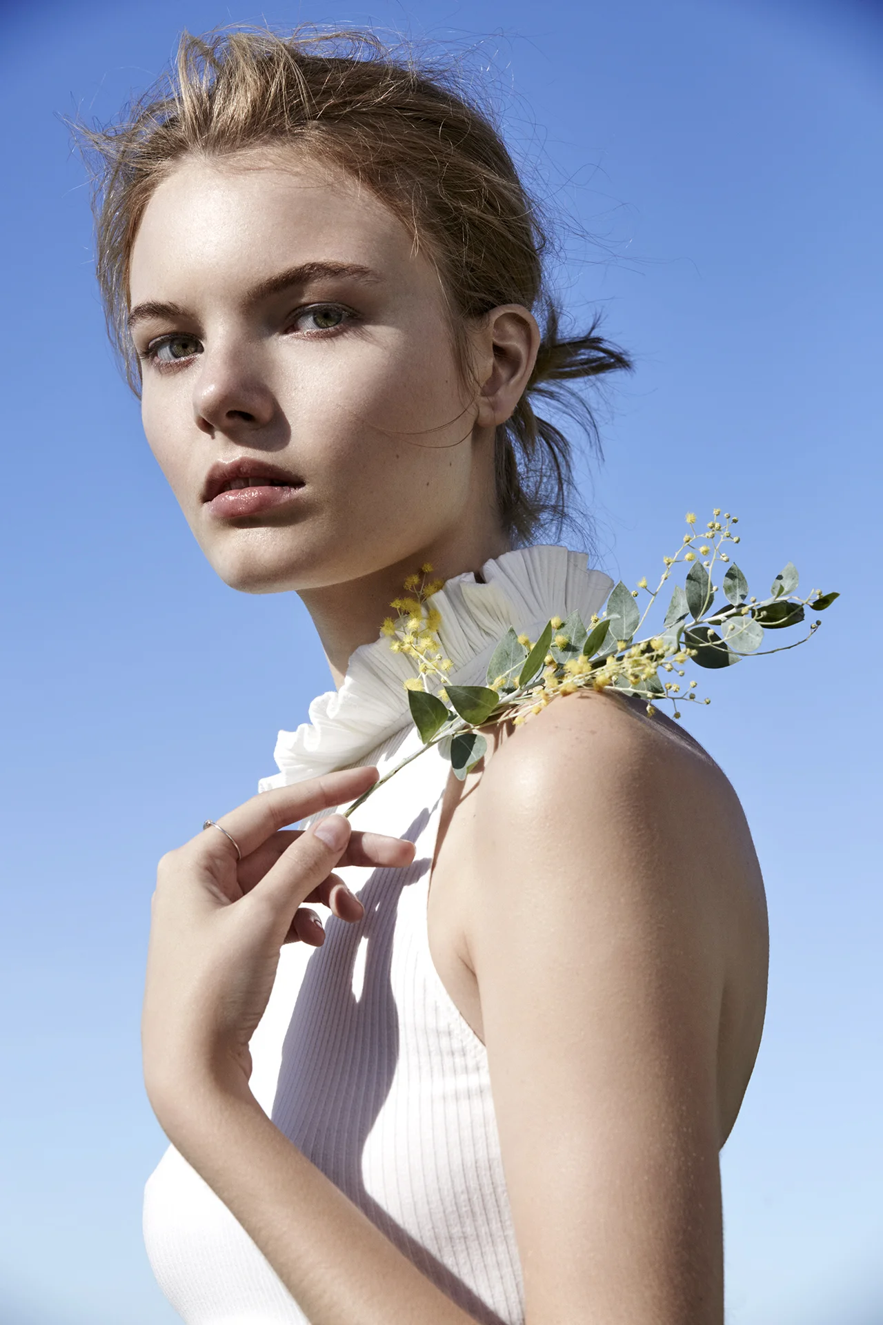 ORIGINAL MINERAL 2017 CAMPAIGN