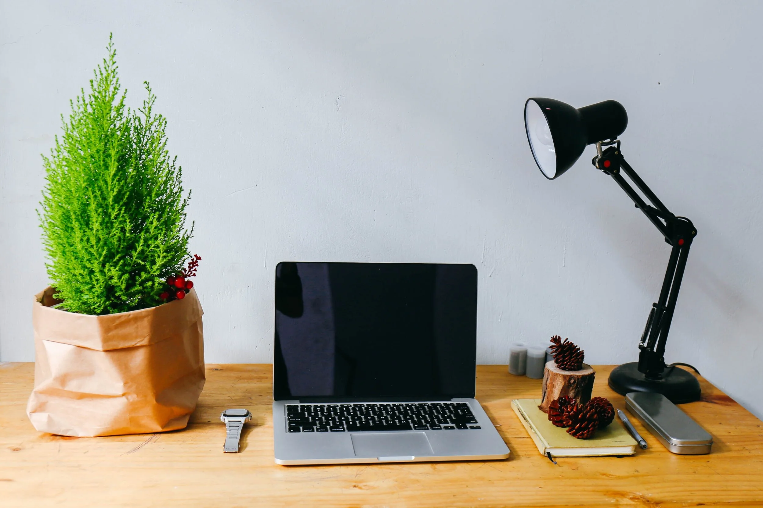 Winning Tactics for B2B Video Marketing