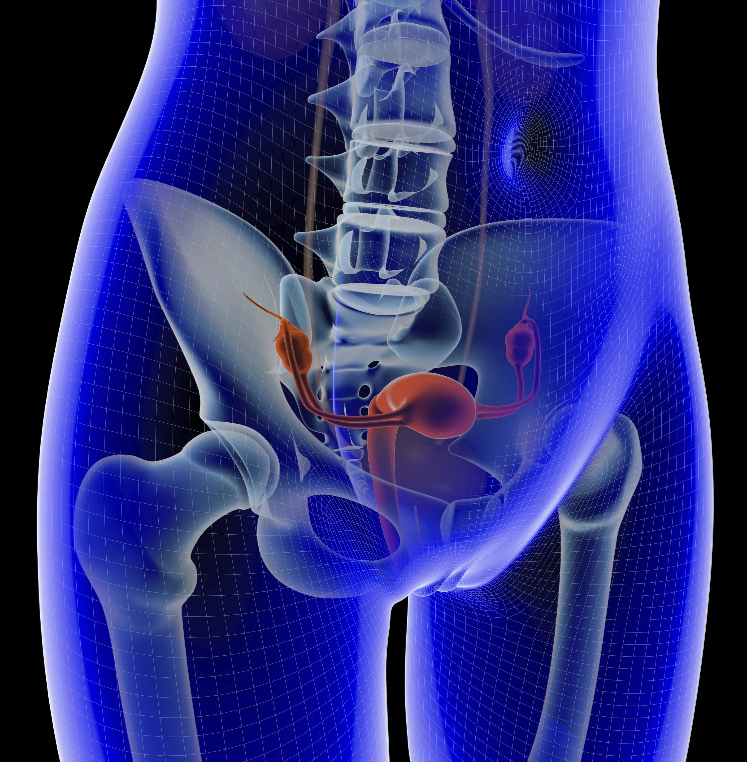 blue female torso.jpg