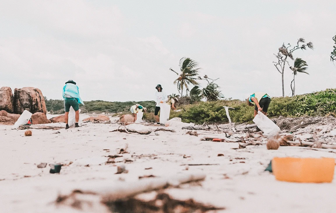Clean Coast Collective is a NFP founded in response to the growing amount of plastics in our oceans and on our beaches.