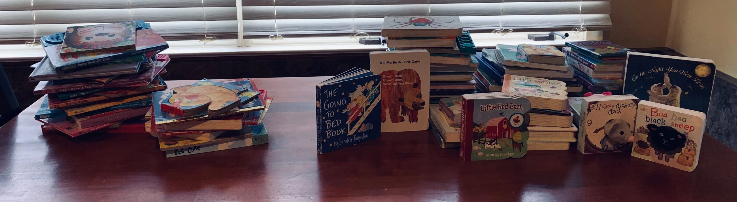 The books to the left are books that we donated. The books to the right I kept for the girls. The books standing up are some of Ava’s favorite books to listen to.