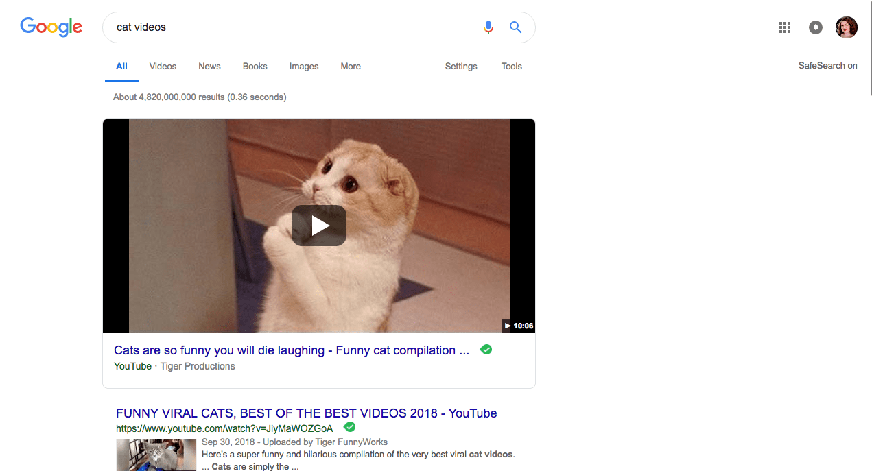 Google results page for “cat videos.”