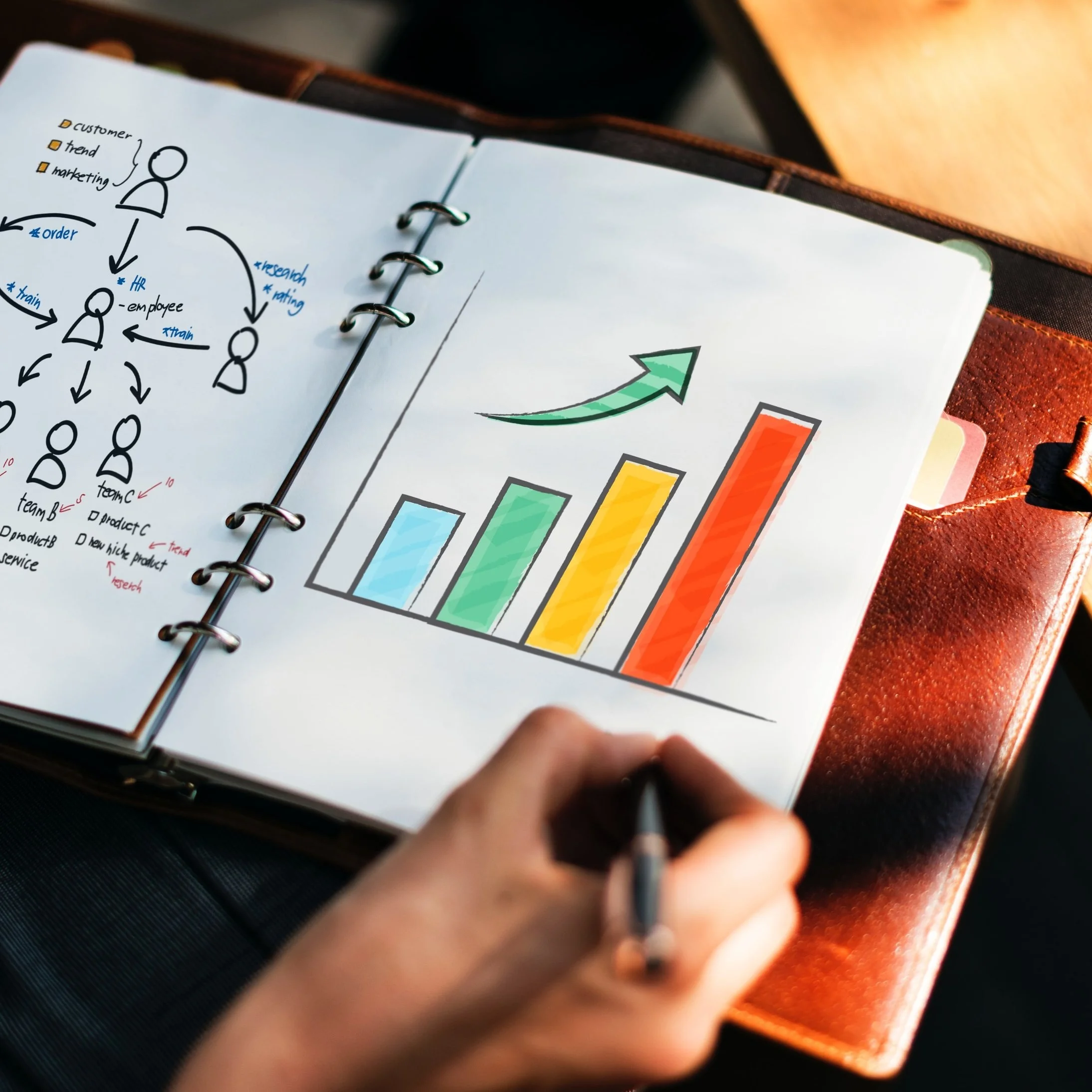 Marketing graphs showing an increase.