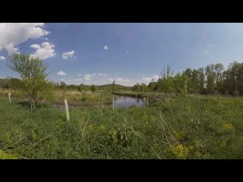 Reforesting the Paulins Kill