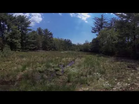 Arctic Meadows Preserve