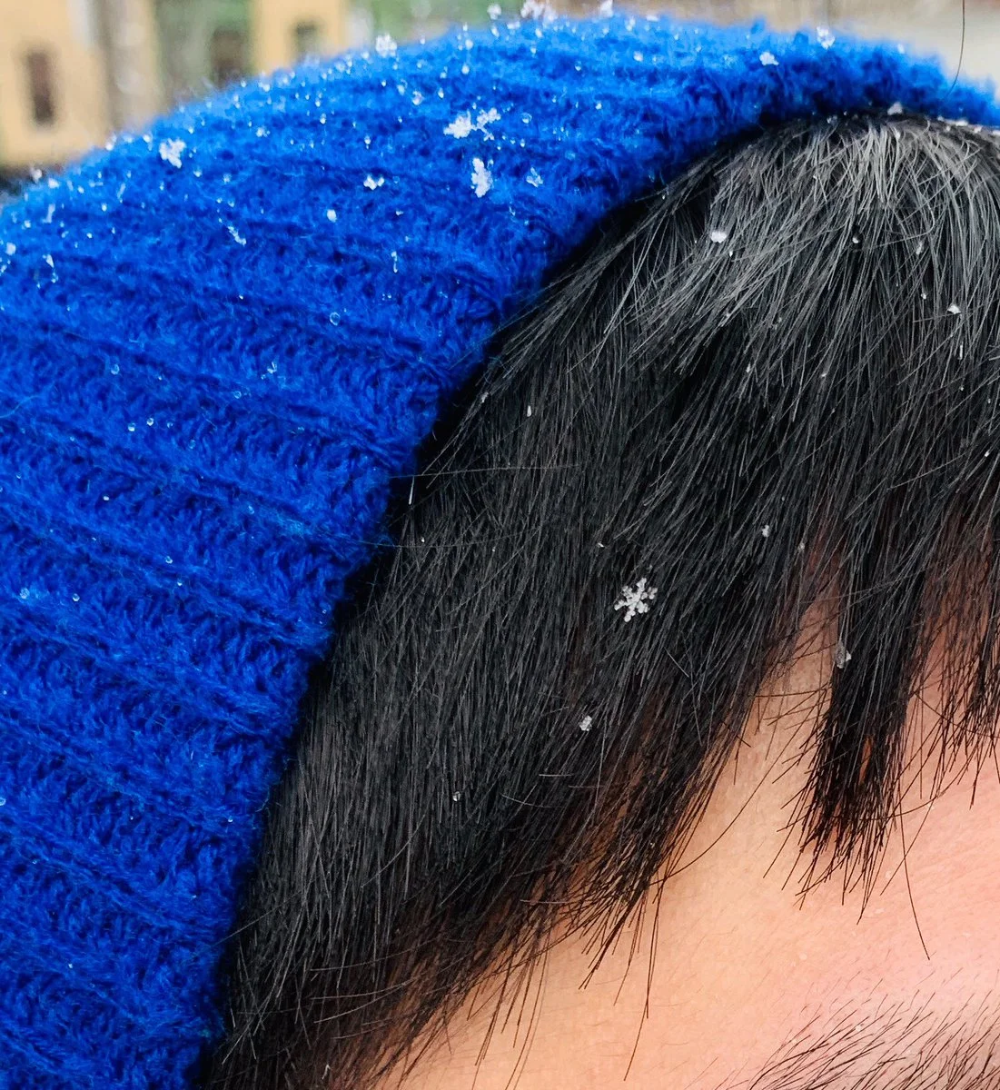 Snowflake in hair, Newbury St., Boston by Jeff Gilbert