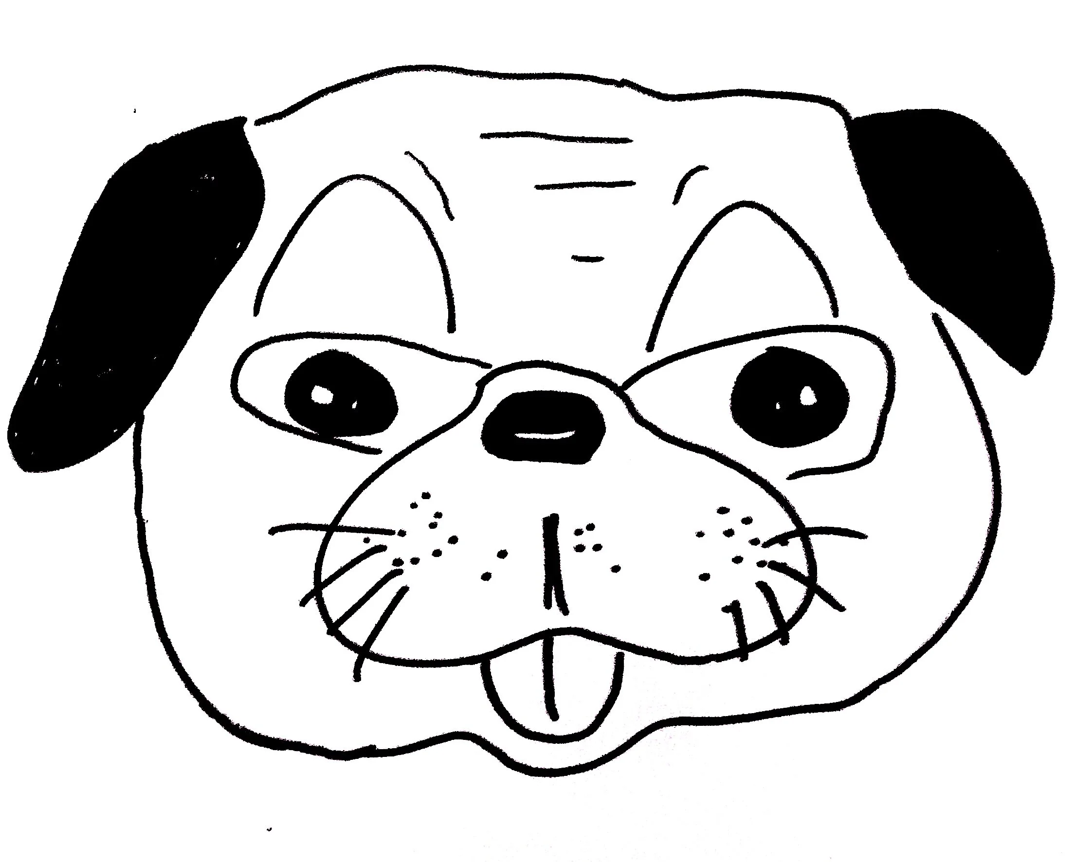 puglogomhm.jpg