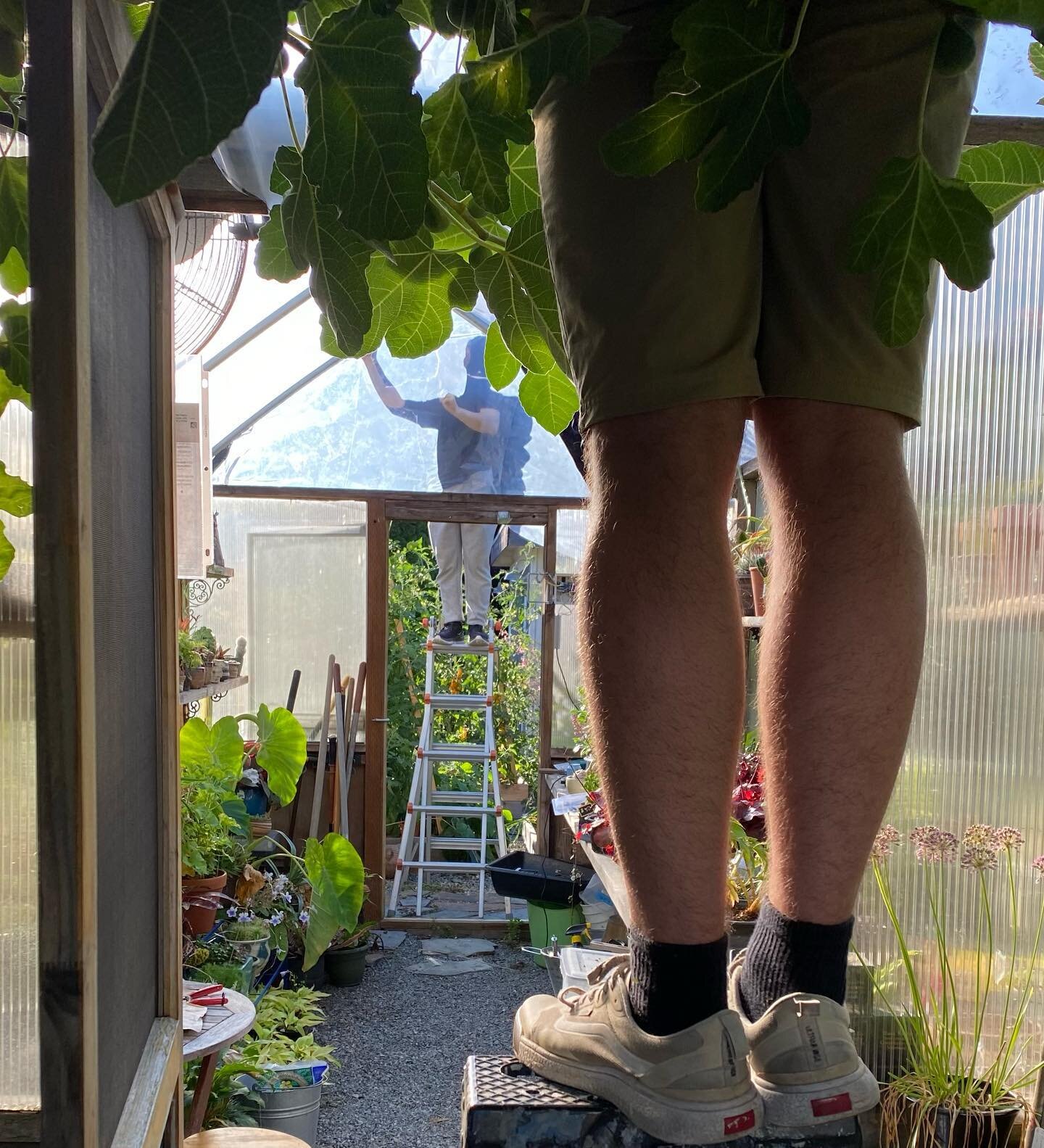 Buttoning up the greenhouse&hellip;