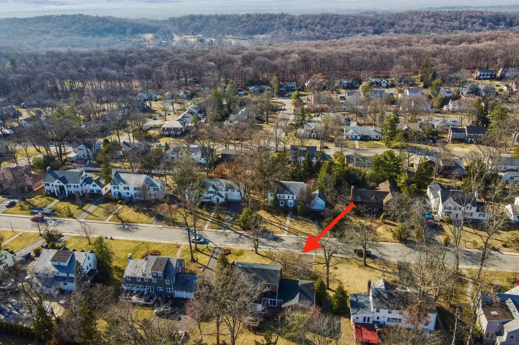 44-print-75-web-or-mls-VMD004Drone (1).jpeg