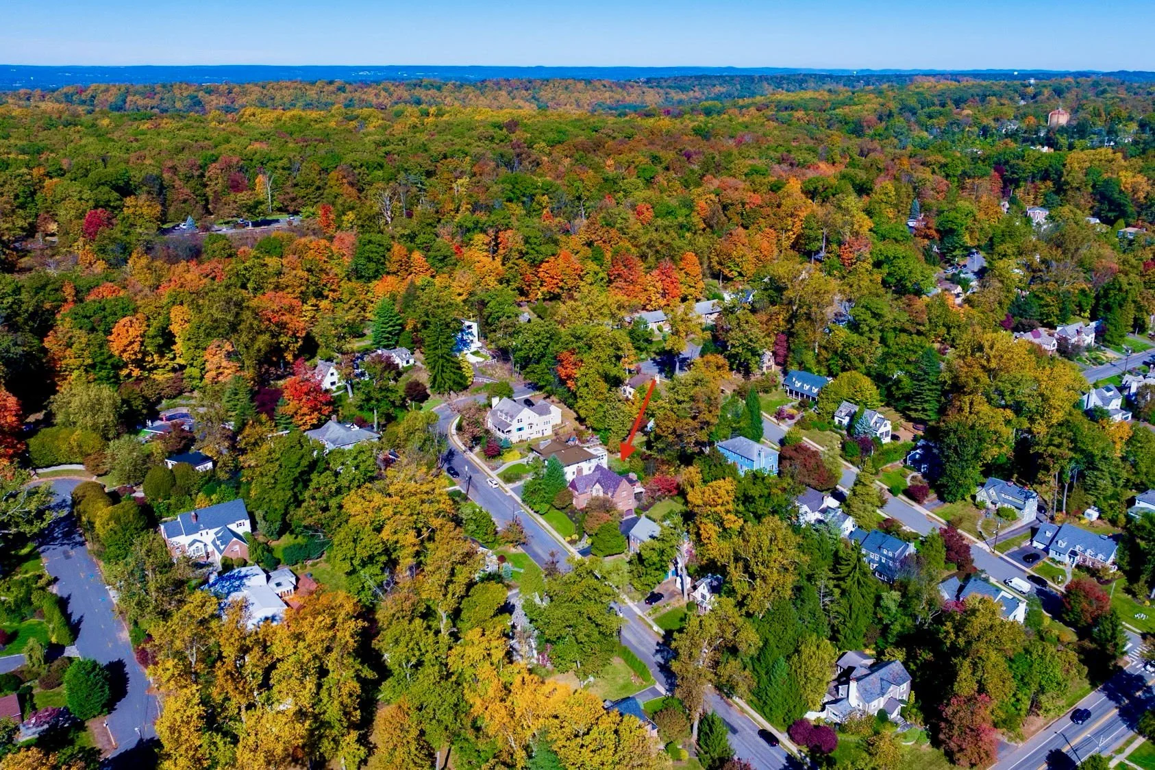 60-web-or-mls-94_Collinwood_Rd_S-07.jpeg