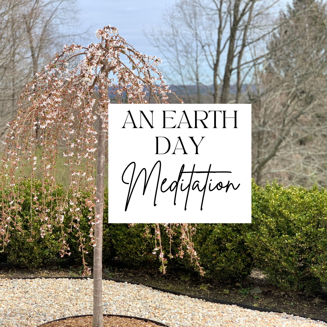 An Earth Day Meditation