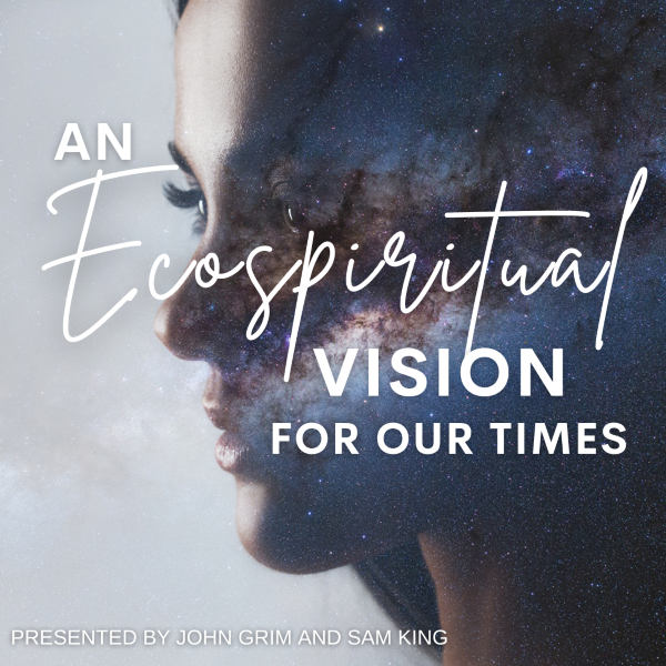 An Ecospiritual Vision for Our Times