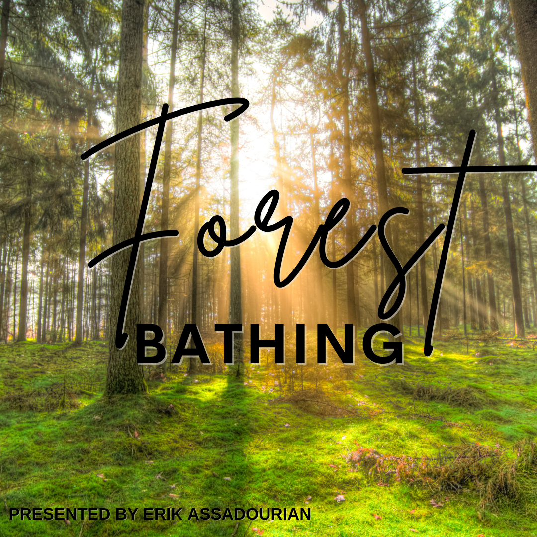 Forest Bathing