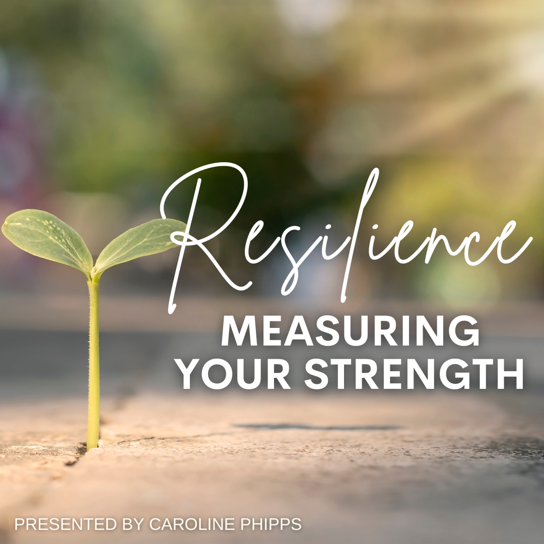 HYBRID Resilience-Measuring Your Strength