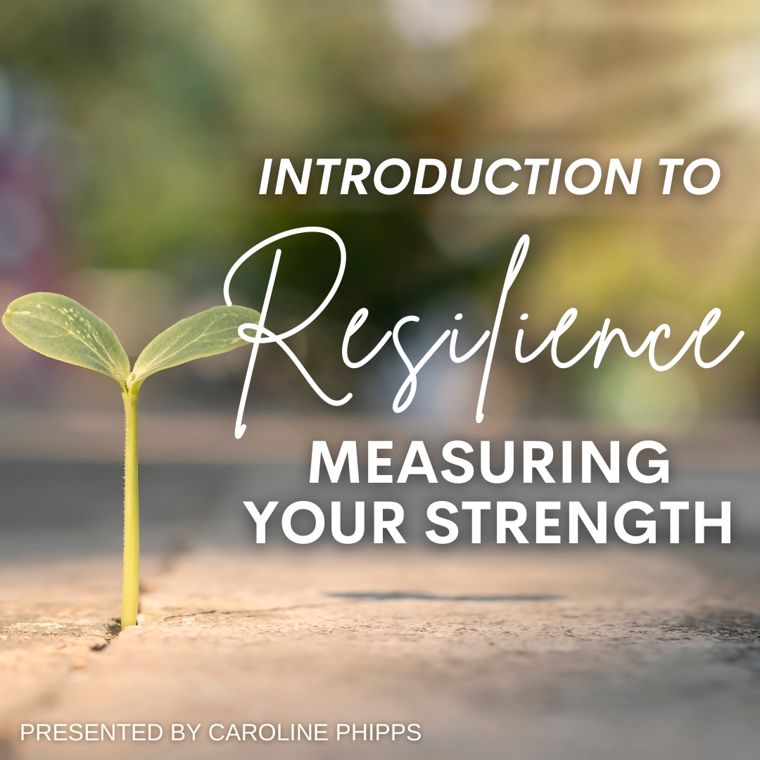 ZOOM Introduction to Resilience-Measuring Your Strength