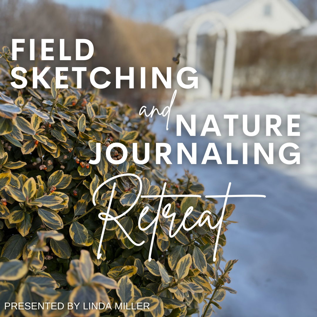 Field Sketching and Nature Journaling Retreat