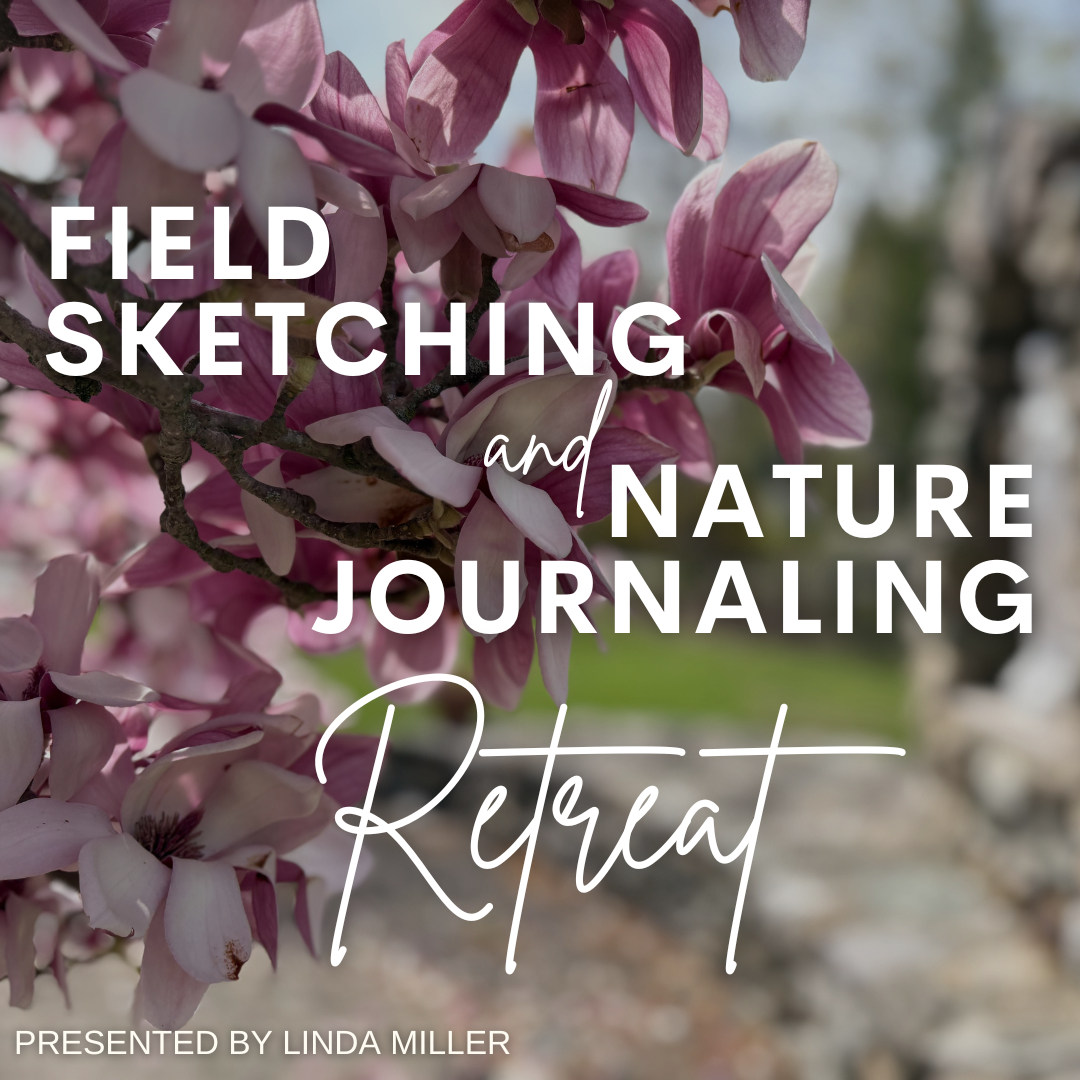 Field Sketching and Nature Journaling Retreat