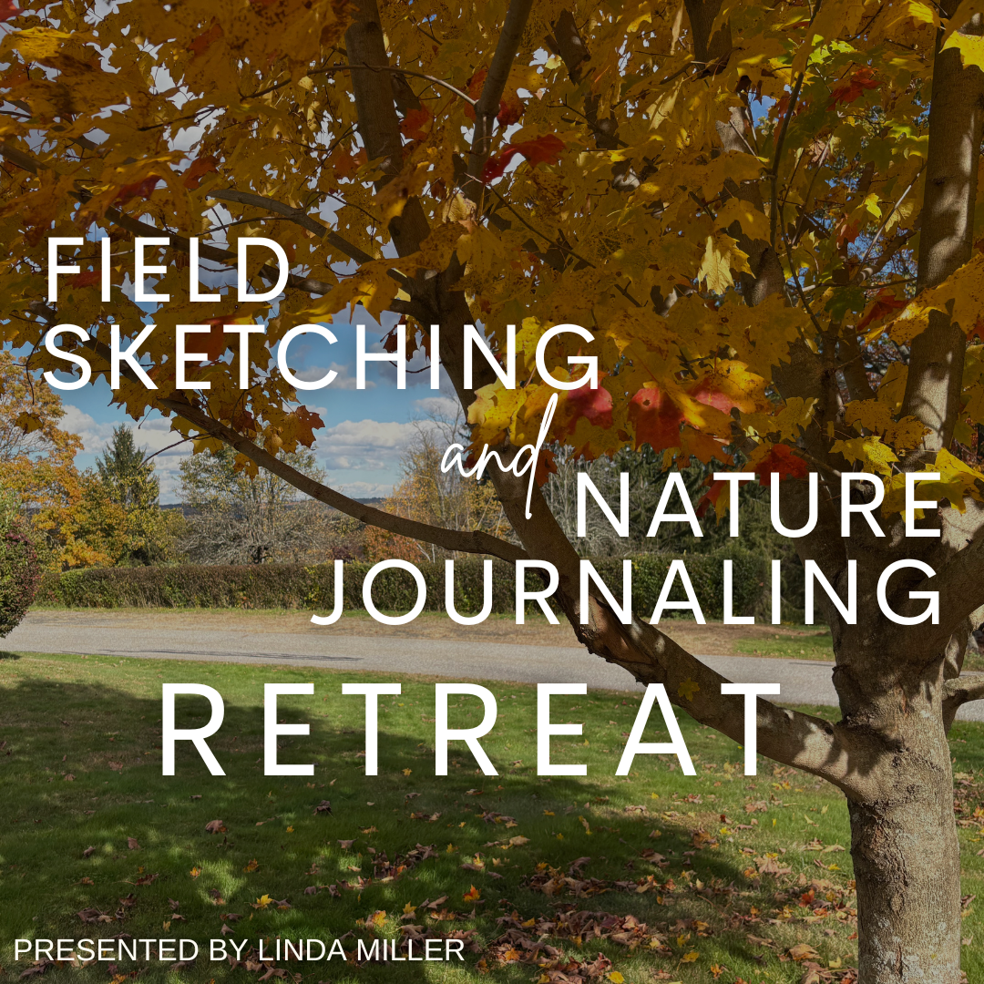 Field Sketching and Nature Journaling Retreat