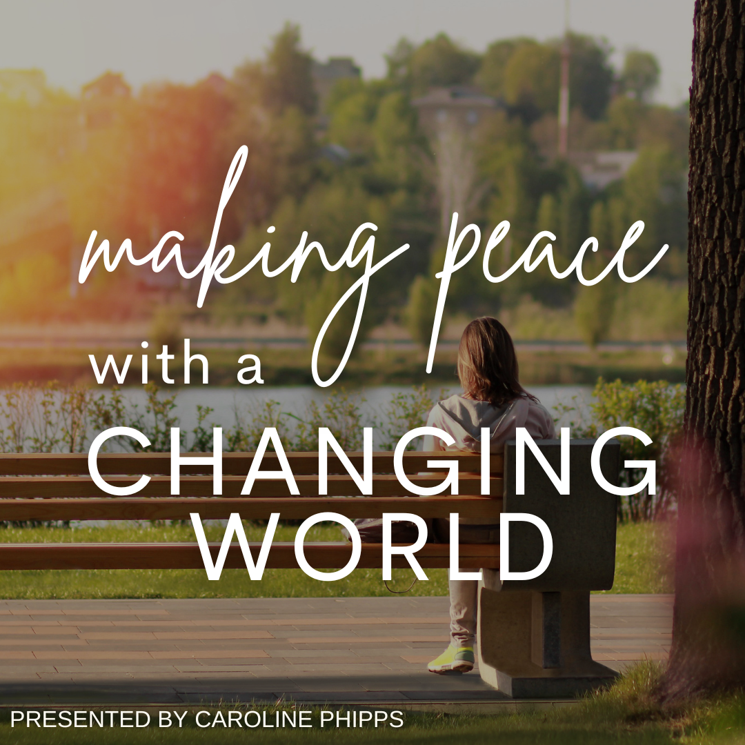 HYBRID Making Peace with a Changing World