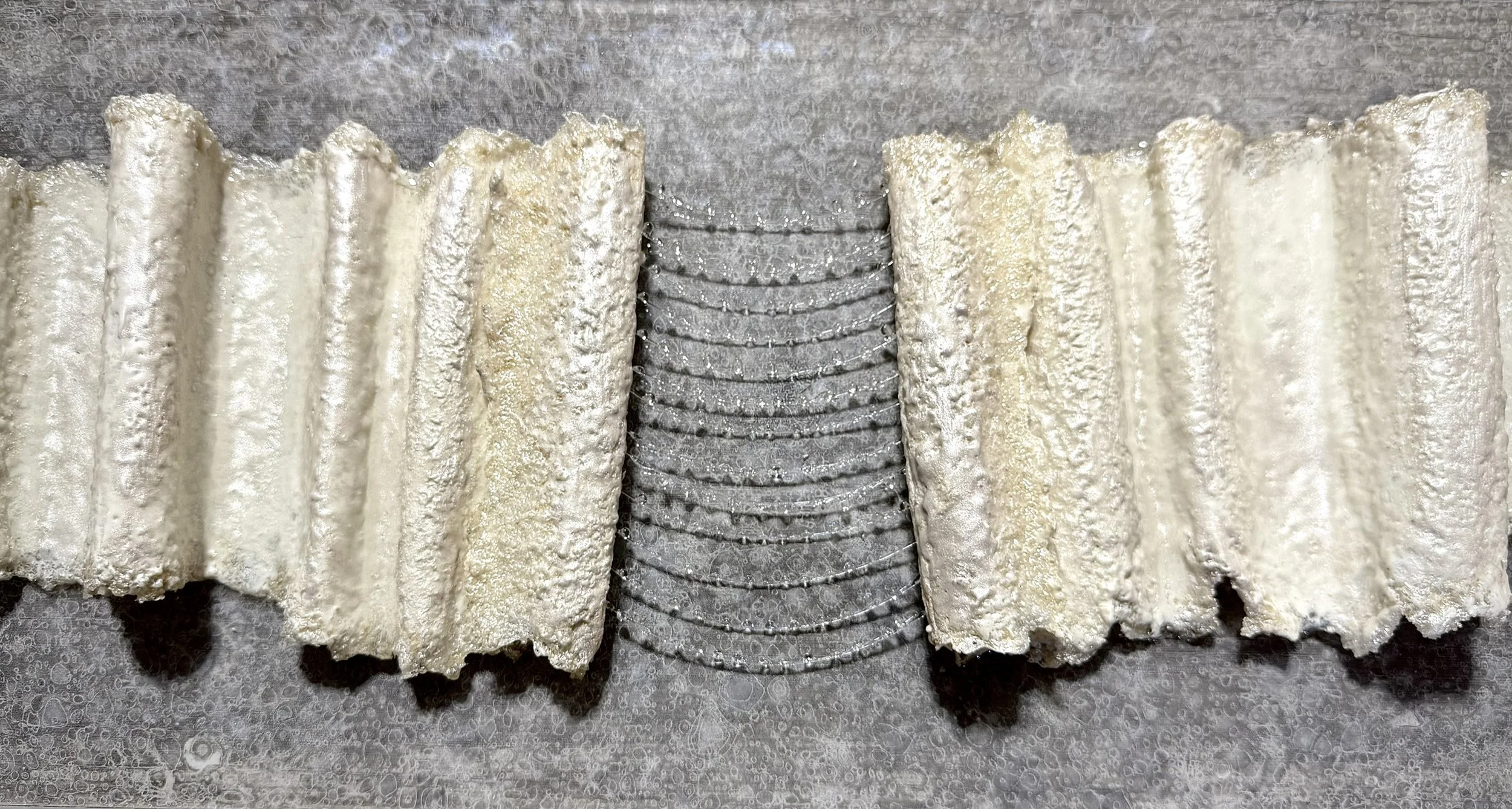 image1 (1).jpeg