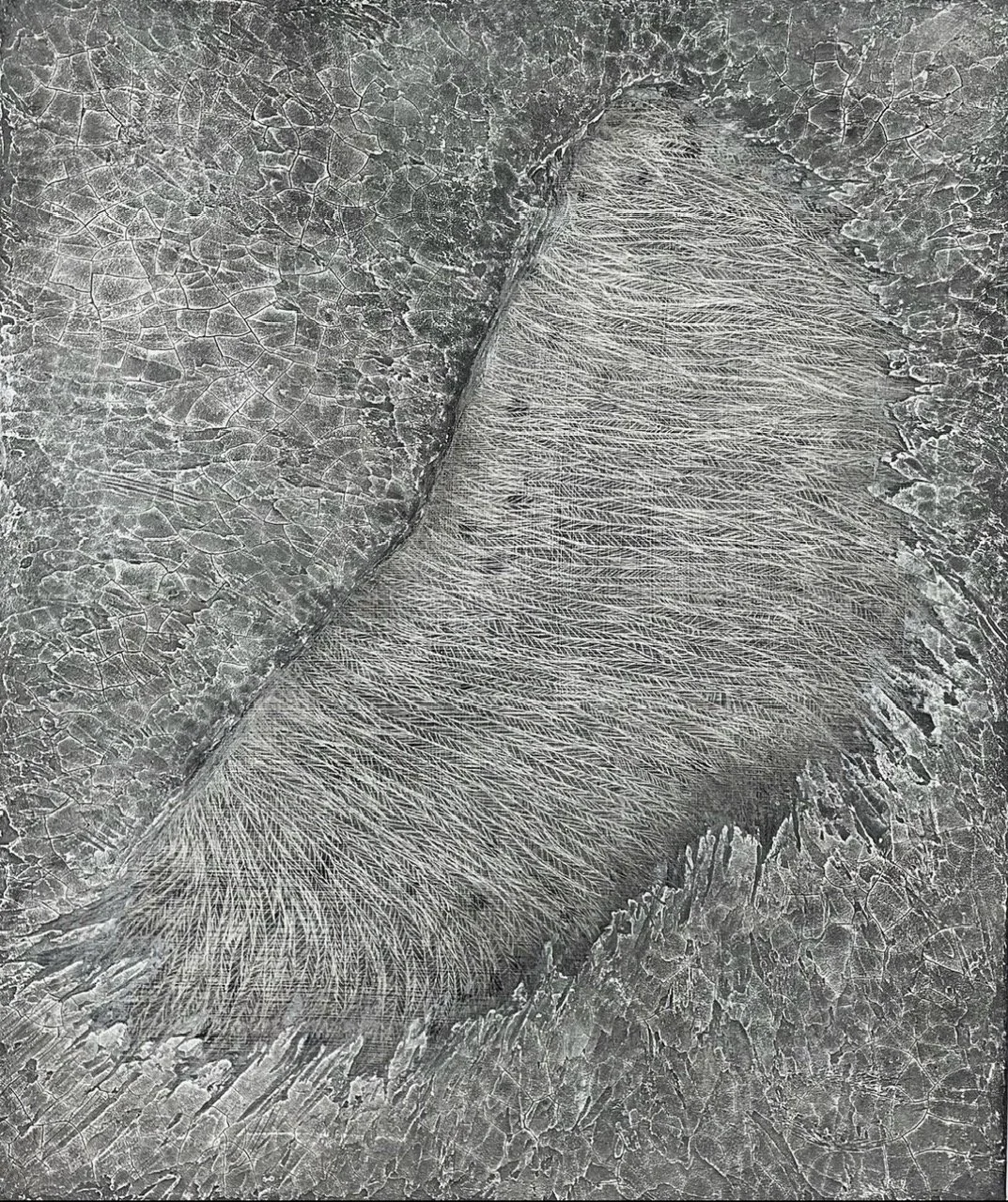 image11.jpeg
