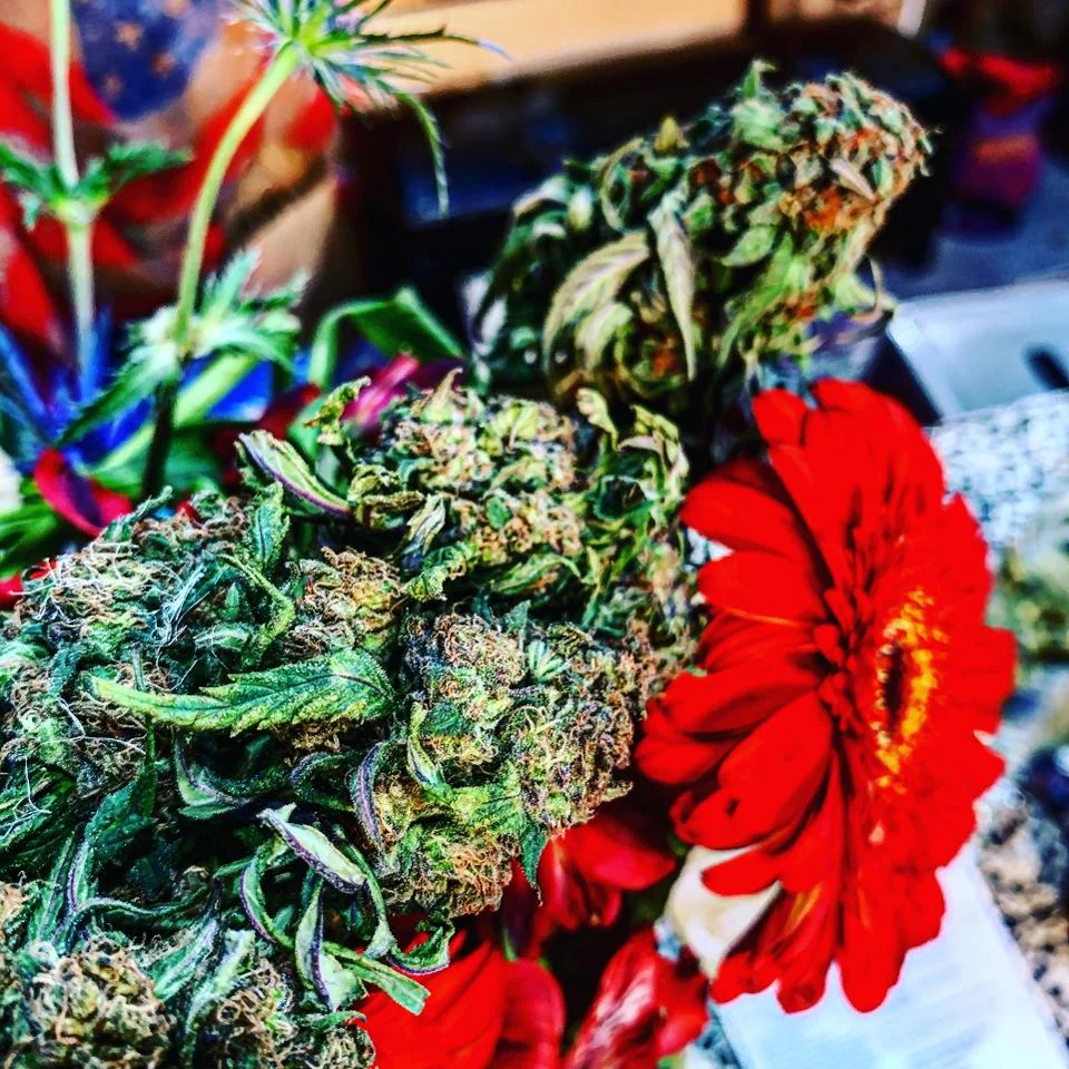 Casa Humboldt flowers, photo by Warren Bobrow