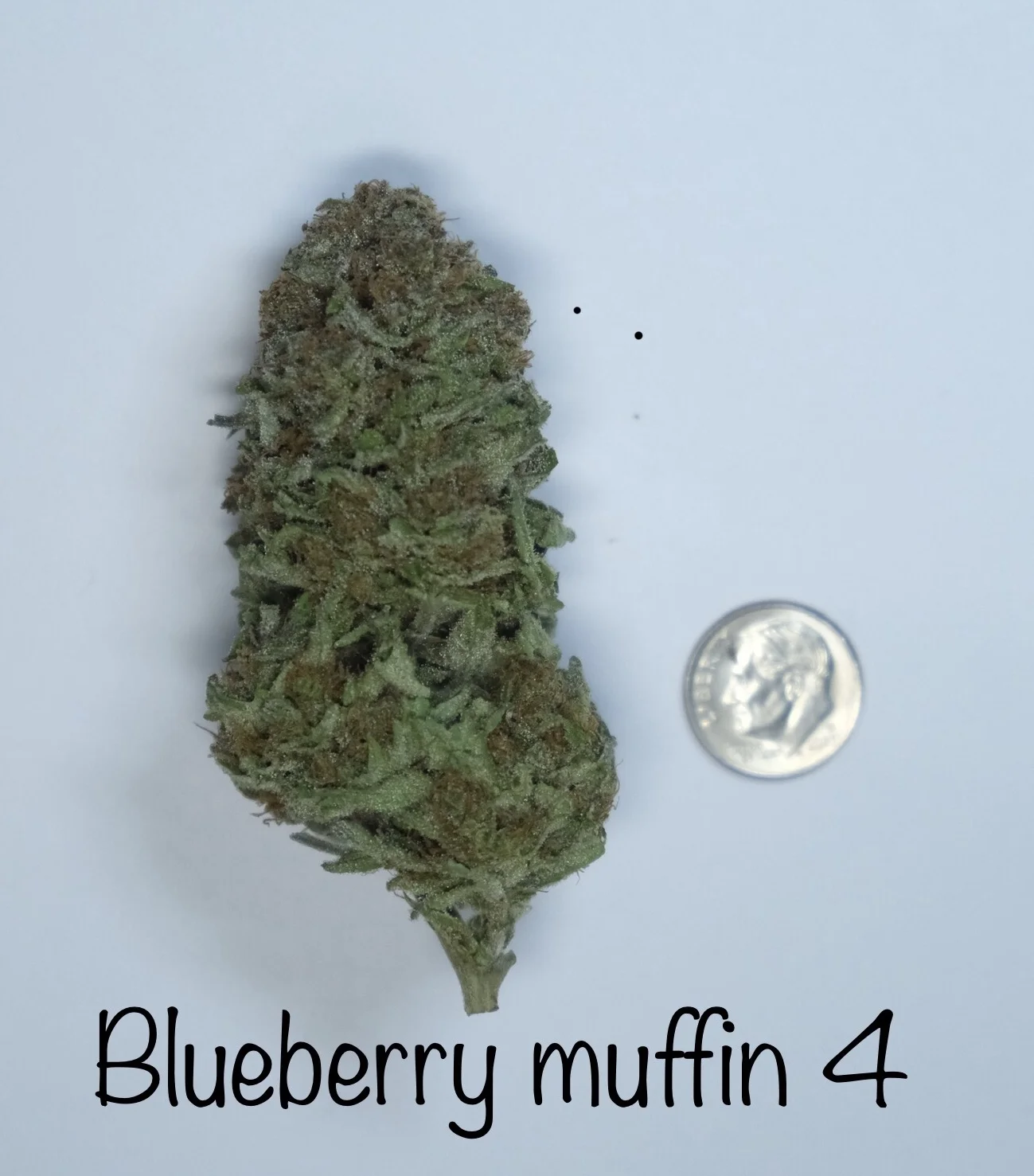 2019 Crescent Moon Havest Tasting Notes - Blueberry Muffin No. 4