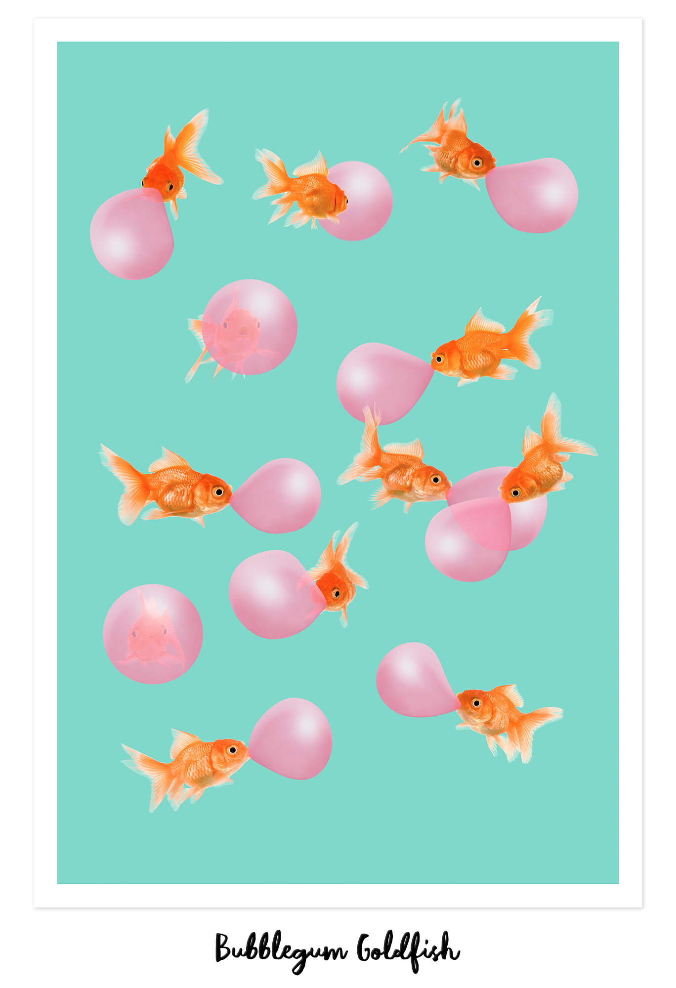 BUBBLEGUM_GOLDFISH_hoch Kopie.jpg