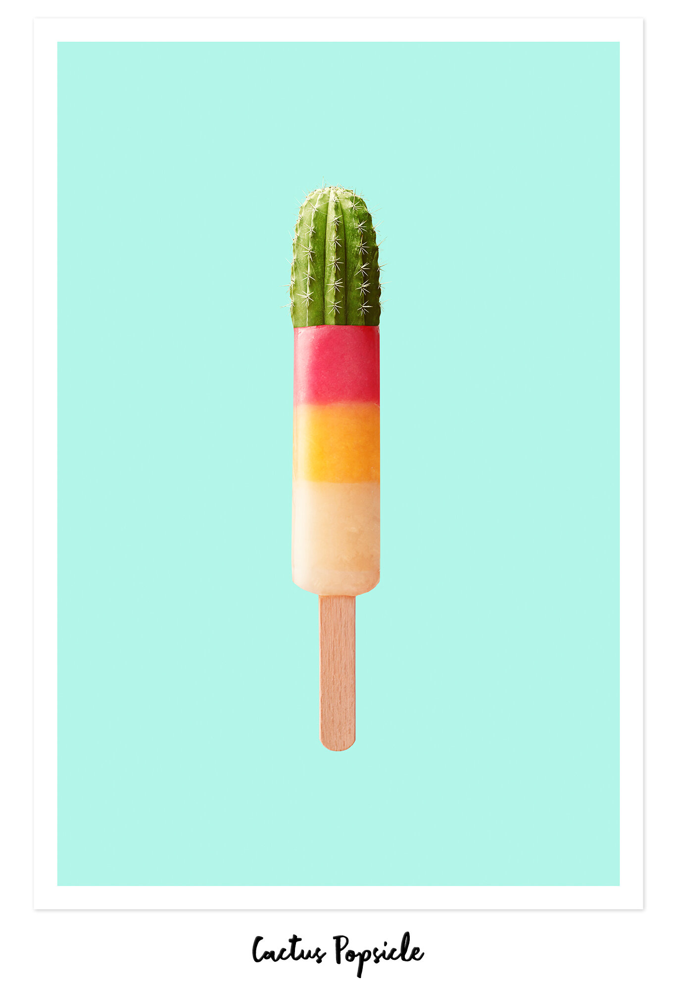 CACTUS POPSICLE.jpg