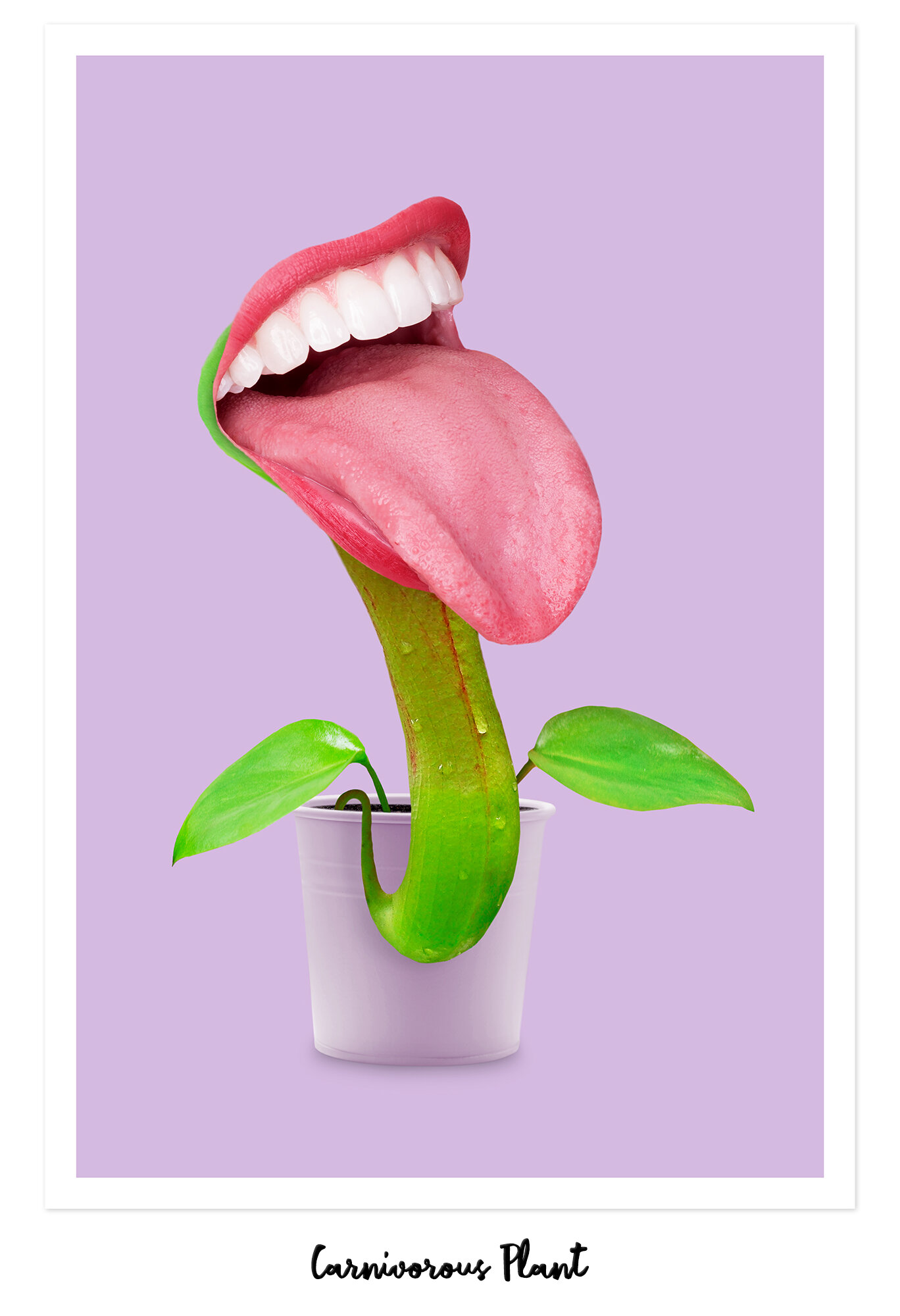 CARNIVOROUS_PLANT.jpg