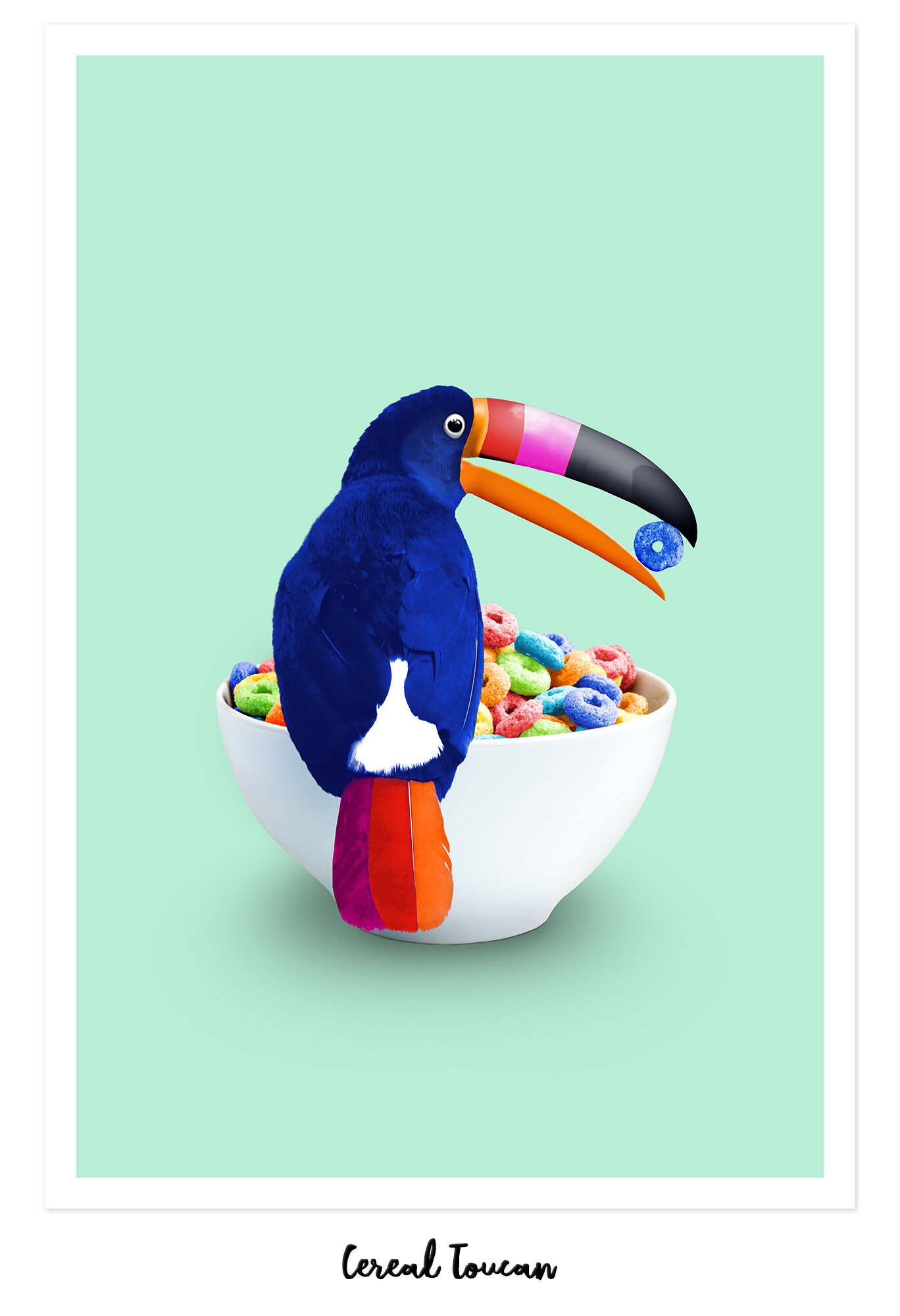 CEREAL_TOUCAN.jpg